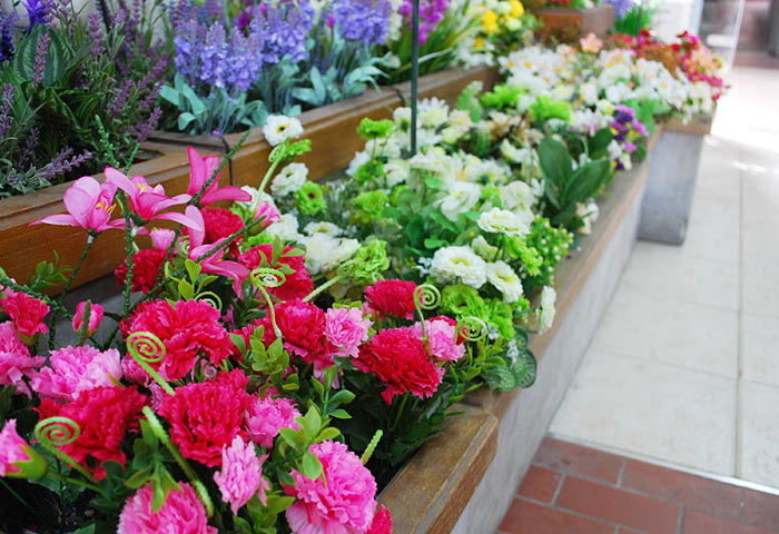 VIVERO Y JARDIN DE PLANTAS vivero y jardin de plantas: